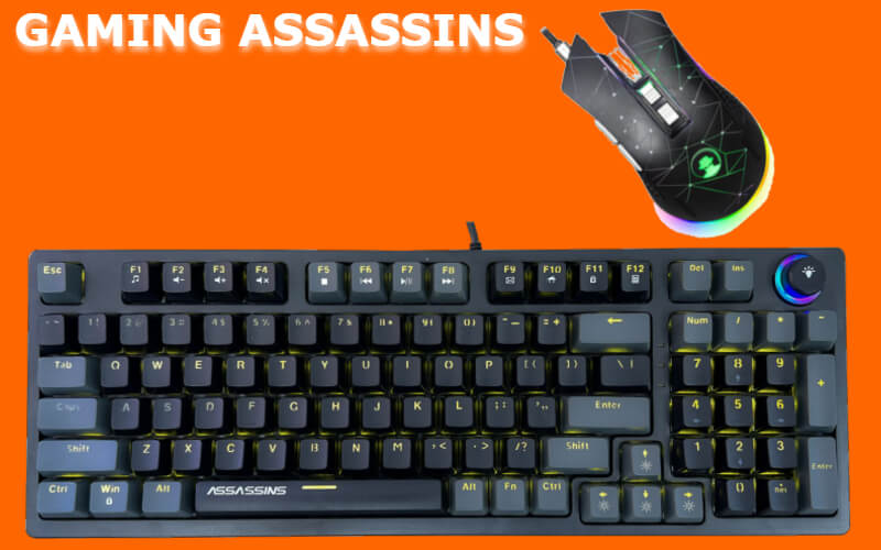 Gaming-Assassins